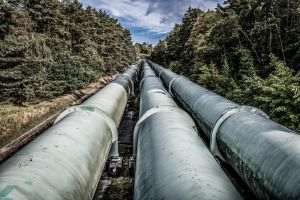 TASS: Emisarul lui Putin spune că Rusia şi Germania ar putea redeschide împreună Nord Stream